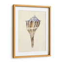 Acuarela Conchashell I - Melissa Wang | Cuadro decorativo de Canvas Lab