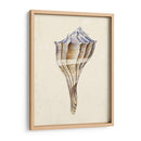 Acuarela Conchashell I - Melissa Wang | Cuadro decorativo de Canvas Lab
