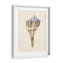 Acuarela Conchashell I - Melissa Wang | Cuadro decorativo de Canvas Lab