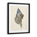 Acuarela Seashell Iii - Melissa Wang | Cuadro decorativo de Canvas Lab