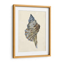 Acuarela Seashell Iii - Melissa Wang | Cuadro decorativo de Canvas Lab