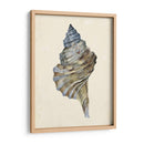 Acuarela Seashell Iii - Melissa Wang | Cuadro decorativo de Canvas Lab
