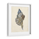 Acuarela Seashell Iii - Melissa Wang | Cuadro decorativo de Canvas Lab
