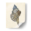 Acuarela Seashell Iii - Melissa Wang | Cuadro decorativo de Canvas Lab