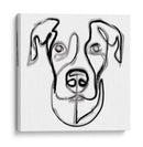 Bucky the dog - Grau Project | Cuadro decorativo de Canvas Lab