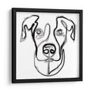 Bucky the dog - Grau Project | Cuadro decorativo de Canvas Lab