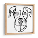 Bucky the dog - Grau Project | Cuadro decorativo de Canvas Lab