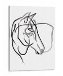 Charlie the horse - Grau Project | Cuadro decorativo de Canvas Lab