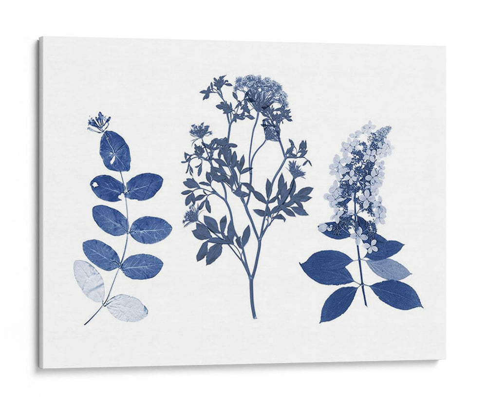 Índigo Presionado Florales I - Studio W | Cuadro decorativo de Canvas Lab