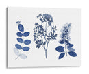 Índigo Presionado Florales I - Studio W | Cuadro decorativo de Canvas Lab