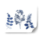 Índigo Presionado Florales I - Studio W | Cuadro decorativo de Canvas Lab