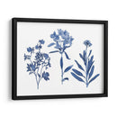 Indigo Presionado Florales Ii - Studio W | Cuadro decorativo de Canvas Lab