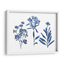 Indigo Presionado Florales Ii - Studio W | Cuadro decorativo de Canvas Lab