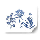 Indigo Presionado Florales Ii - Studio W | Cuadro decorativo de Canvas Lab