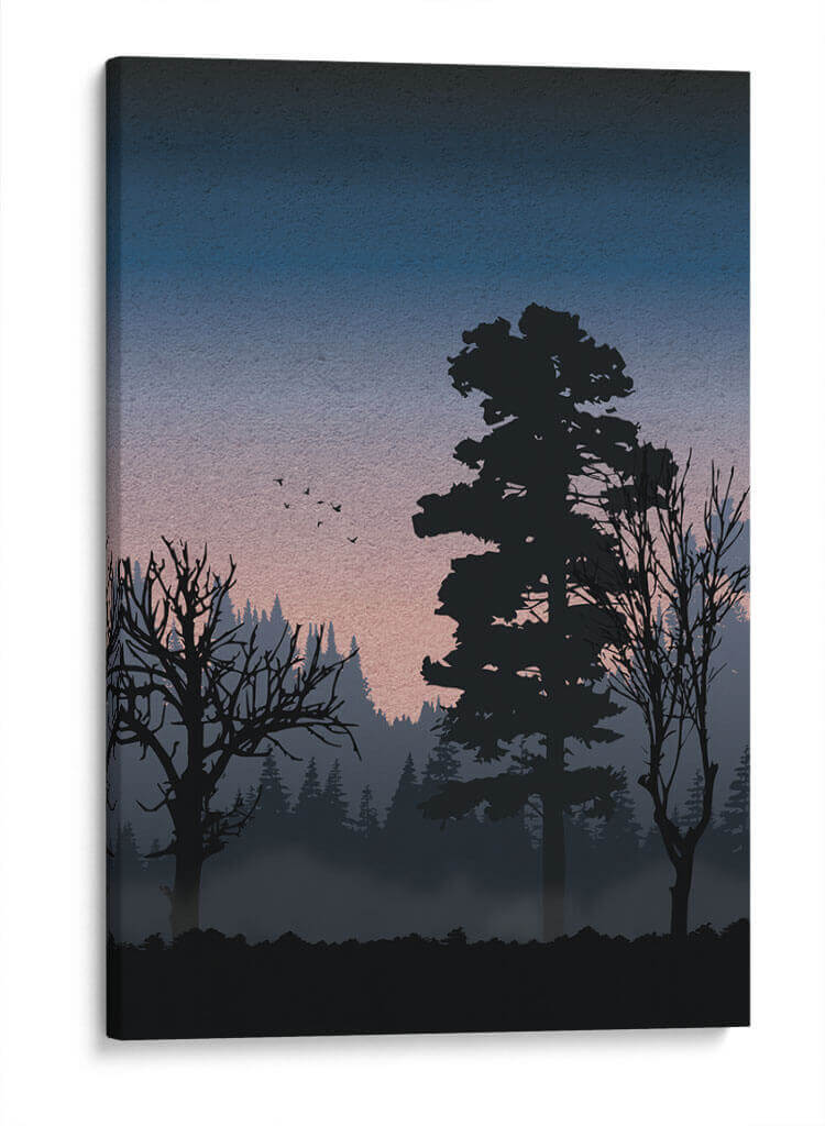 Forest at night - Grau Project | Cuadro decorativo de Canvas Lab