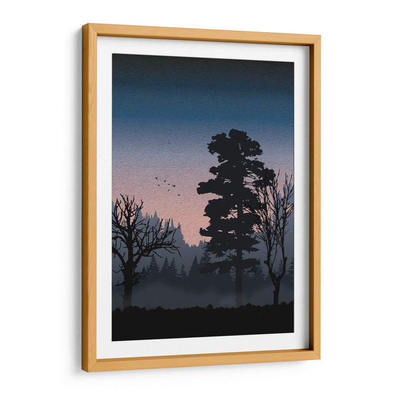 Forest at night - Grau Project | Cuadro decorativo de Canvas Lab