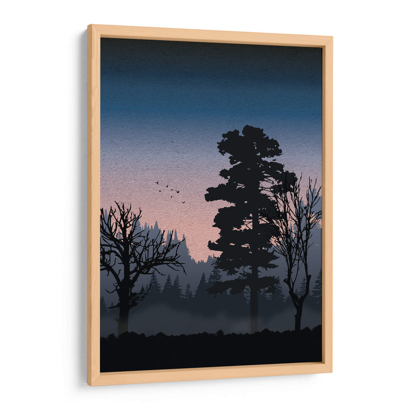 Forest at night - Grau Project | Cuadro decorativo de Canvas Lab