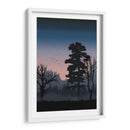 Forest at night - Grau Project | Cuadro decorativo de Canvas Lab