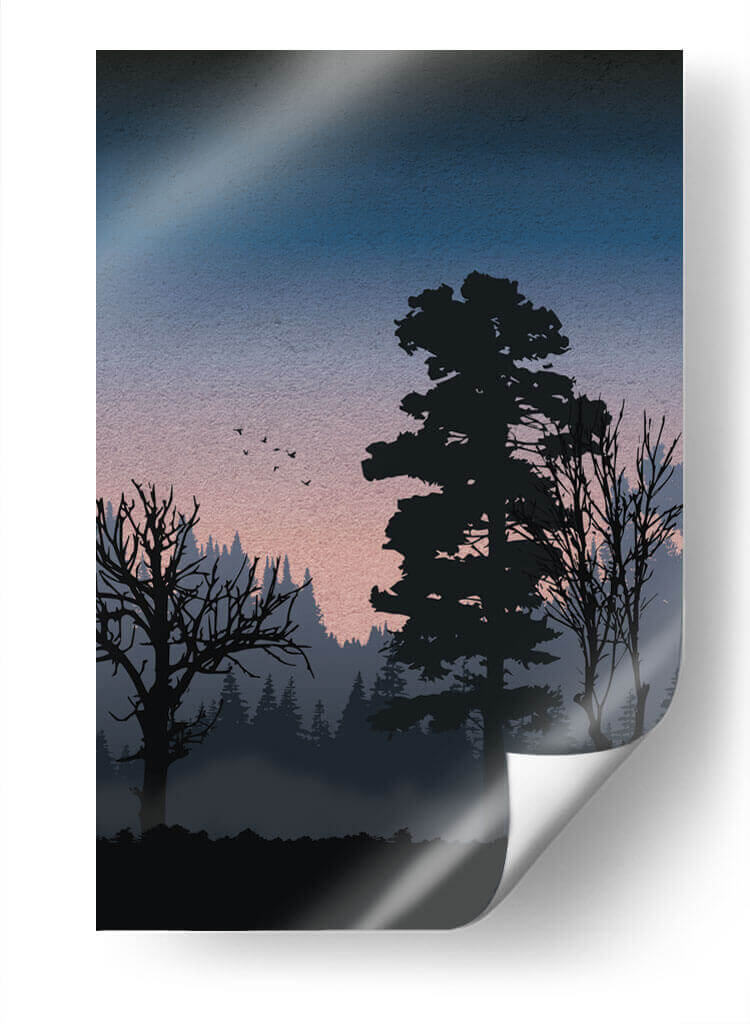 Forest at night - Grau Project | Cuadro decorativo de Canvas Lab