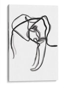 Homer the elephant - Grau Project | Cuadro decorativo de Canvas Lab