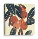 Kumquat I - Melissa Wang | Cuadro decorativo de Canvas Lab