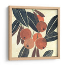 Kumquat I - Melissa Wang | Cuadro decorativo de Canvas Lab