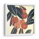 Kumquat I - Melissa Wang | Cuadro decorativo de Canvas Lab