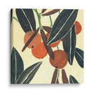 Kumquat Ii - Melissa Wang | Cuadro decorativo de Canvas Lab