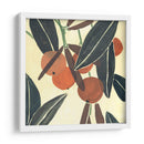 Kumquat Ii - Melissa Wang | Cuadro decorativo de Canvas Lab