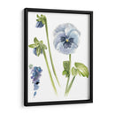 Estudio De Pansy I - Jennifer Paxton Parker | Cuadro decorativo de Canvas Lab