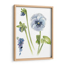 Estudio De Pansy I - Jennifer Paxton Parker | Cuadro decorativo de Canvas Lab