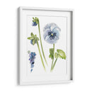 Estudio De Pansy I - Jennifer Paxton Parker | Cuadro decorativo de Canvas Lab