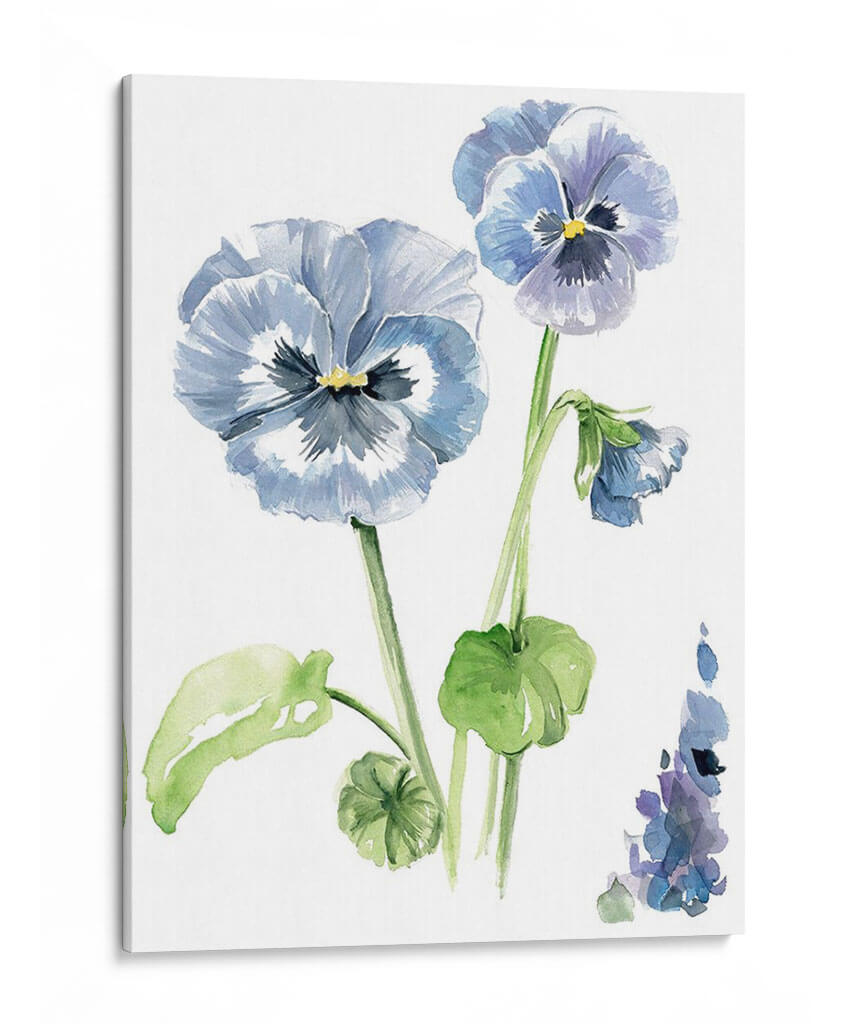 Estudio Pansy Ii - Jennifer Paxton Parker | Cuadro decorativo de Canvas Lab