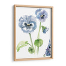 Estudio Pansy Ii - Jennifer Paxton Parker | Cuadro decorativo de Canvas Lab
