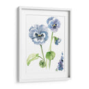 Estudio Pansy Ii - Jennifer Paxton Parker | Cuadro decorativo de Canvas Lab