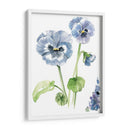 Estudio Pansy Ii - Jennifer Paxton Parker | Cuadro decorativo de Canvas Lab