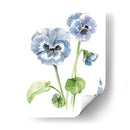 Estudio Pansy Ii - Jennifer Paxton Parker | Cuadro decorativo de Canvas Lab