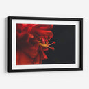 BrotaPensamiento - Juliana Estrada | Cuadro decorativo de Canvas Lab