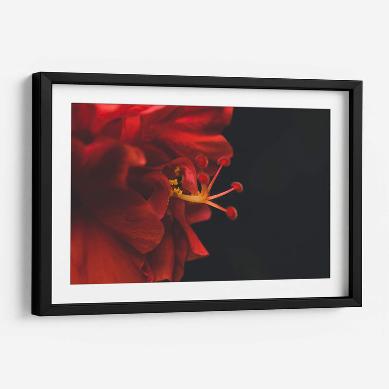 BrotaPensamiento - Juliana Estrada | Cuadro decorativo de Canvas Lab