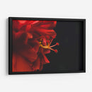 BrotaPensamiento - Juliana Estrada | Cuadro decorativo de Canvas Lab