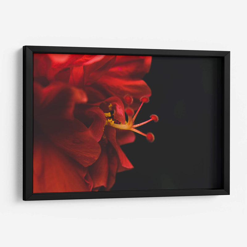 BrotaPensamiento - Juliana Estrada | Cuadro decorativo de Canvas Lab