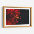 BrotaPensamiento - Juliana Estrada | Cuadro decorativo de Canvas Lab