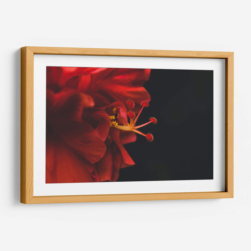 BrotaPensamiento - Juliana Estrada | Cuadro decorativo de Canvas Lab