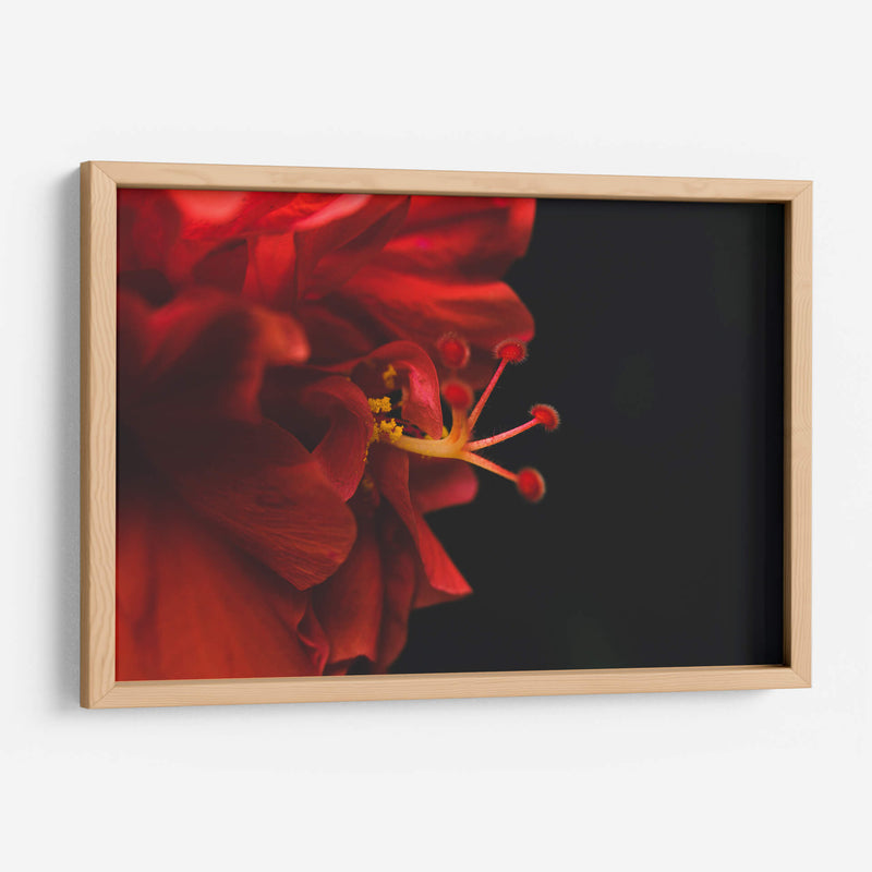 BrotaPensamiento - Juliana Estrada | Cuadro decorativo de Canvas Lab