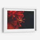 BrotaPensamiento - Juliana Estrada | Cuadro decorativo de Canvas Lab