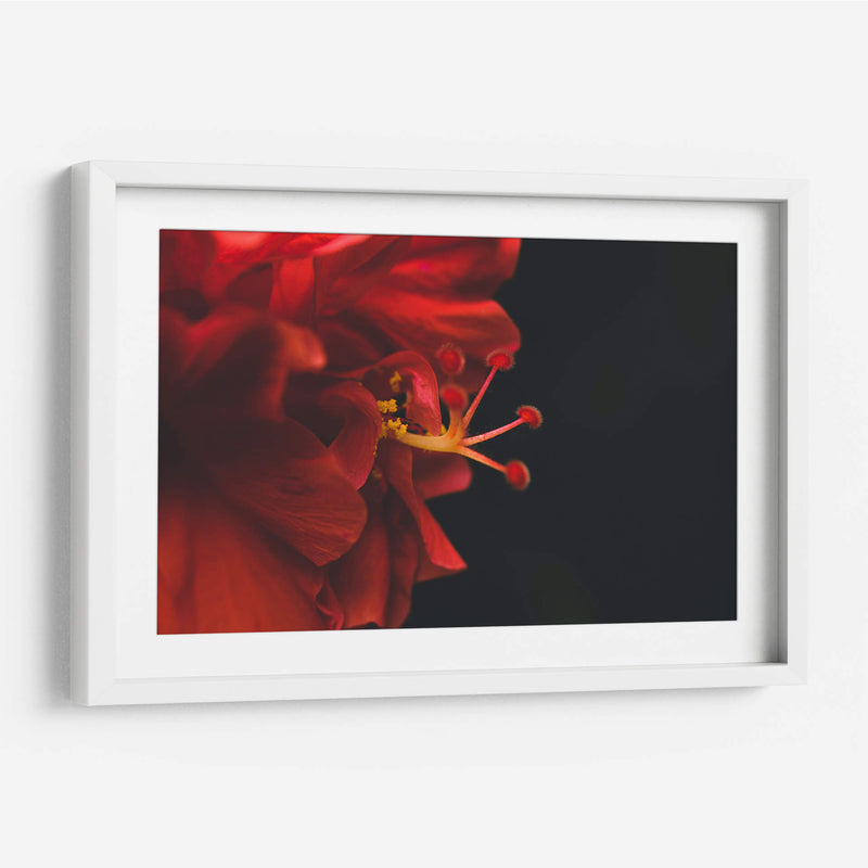 BrotaPensamiento - Juliana Estrada | Cuadro decorativo de Canvas Lab