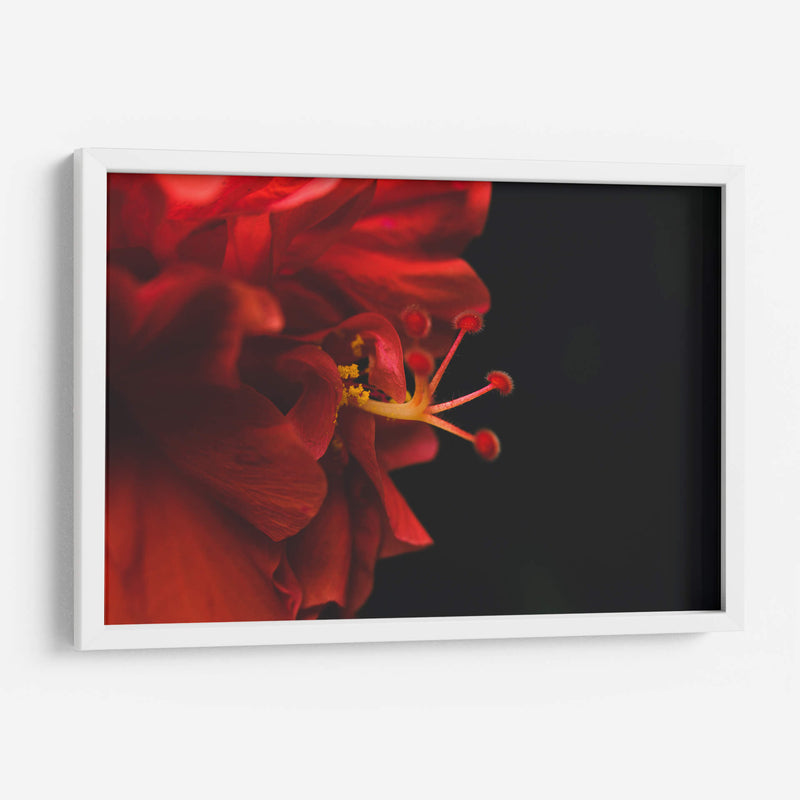 BrotaPensamiento - Juliana Estrada | Cuadro decorativo de Canvas Lab