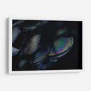 BurbujaExtraterrestre - Juliana Estrada | Cuadro decorativo de Canvas Lab