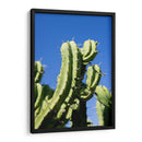 Cactus-1 - Juliana Estrada | Cuadro decorativo de Canvas Lab