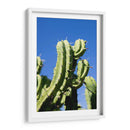 Cactus-1 - Juliana Estrada | Cuadro decorativo de Canvas Lab